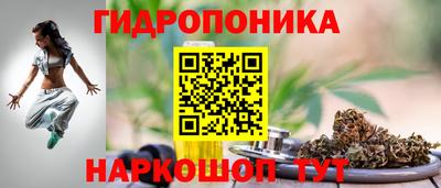 mdma Новозыбков
