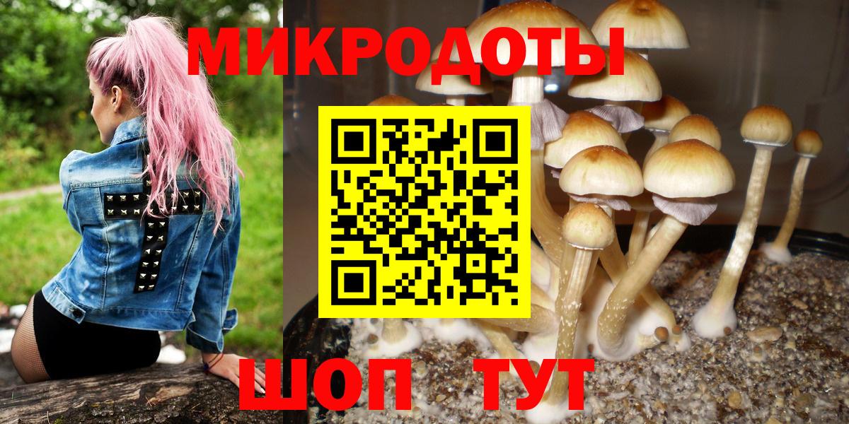Галлюциногенные грибы GOLDEN TEACHER  Псилоцибиновые грибы Magic Shrooms  Ханты-Мансийск  закладки  Вход с VPN 