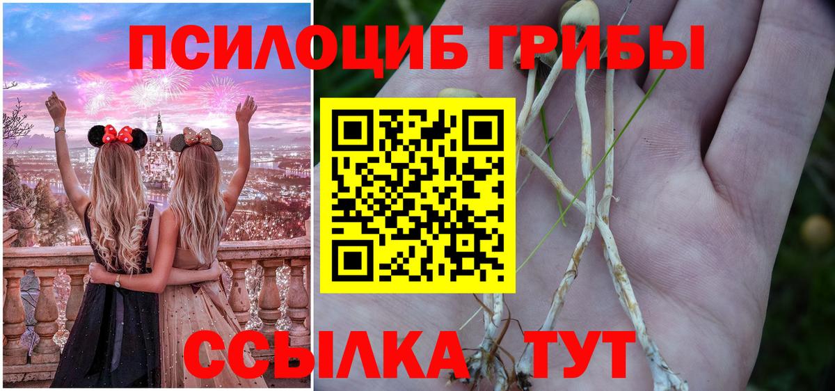 Псилоцибиновые грибы GOLDEN TEACHER Ханты-Мансийск